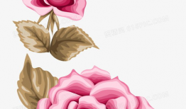 动漫玫瑰,动漫中的浪漫传奇